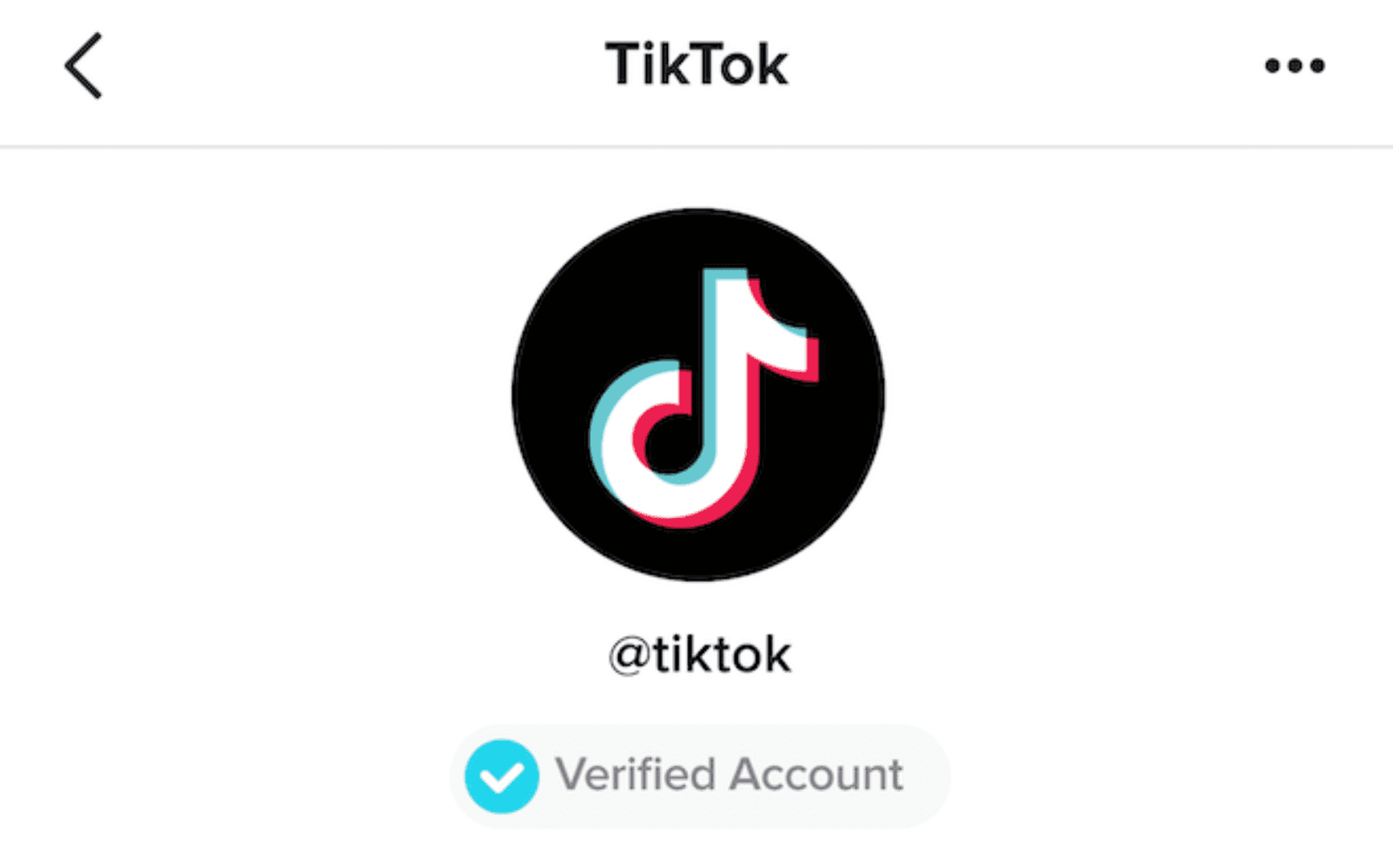 How to Get Verified on TikTok