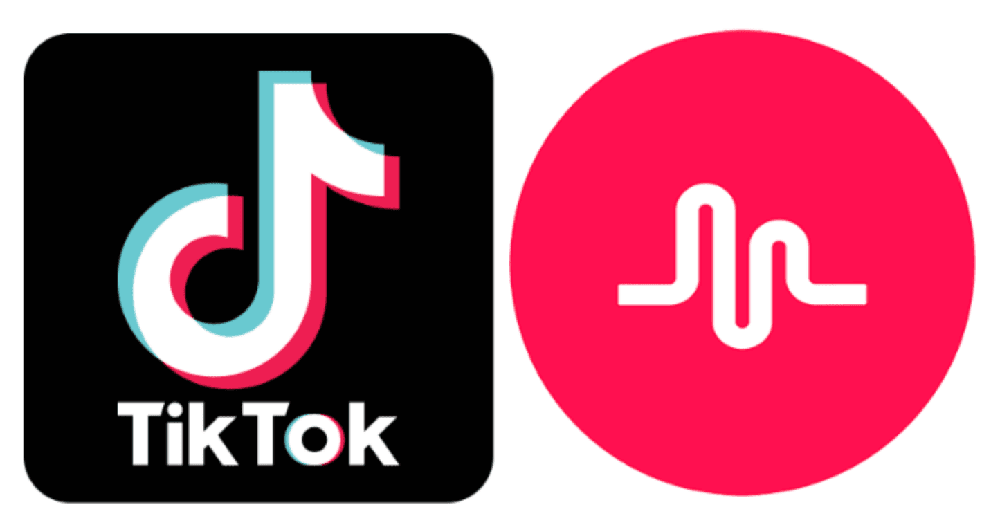 when did tiktok come out
