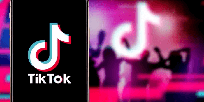 Most Popular and Viewed TikTok Videos in 2022