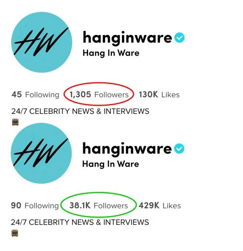 tiktok-followers-before-and-after-growtok (1)